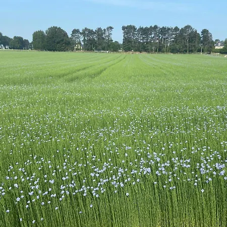 La Tranquilite * Saint-Valery-en-Caux